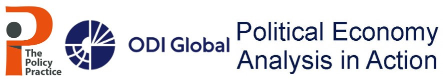 Political Economy Analysis in Action Online Training Course September-December 2026